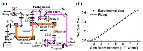 The Application of Microplasma in the Terahertz Field: A Review