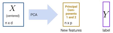 PCA Lecture Notes 的图像结果