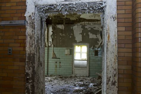 The Dangers of Lead-Based Paint Explained | ZOTA Professional Training