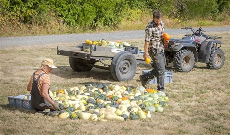 FARM JOB: Nanaimo, BC - Empress Acres, Regenerative Farming Apprentice/Associate
