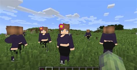 Image result for Minecraft Jene Mod