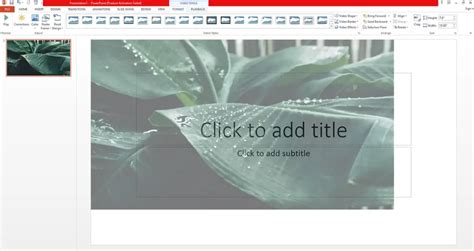 Image result for Short Loop Video for PowerPoint
