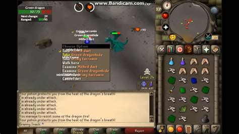 Ultimate OSRS Green Dragon Guide: Tips and Strategies for Success ...