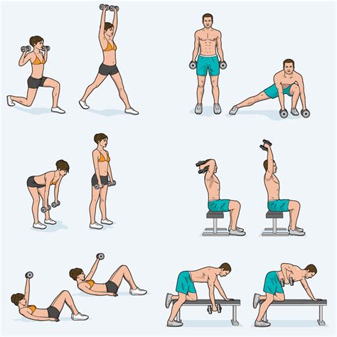 Exercise 动画 的图像结果