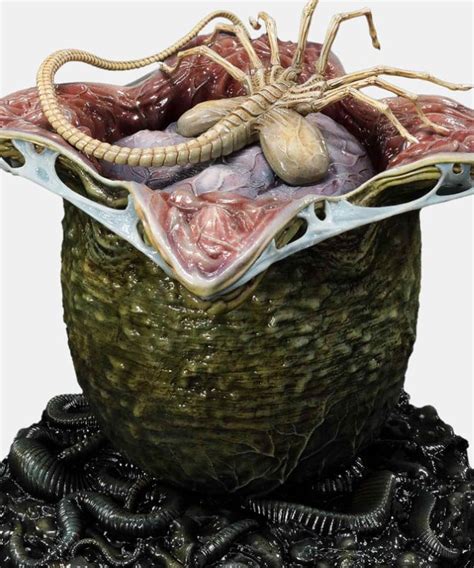 Image result for Alien Isolation Egg