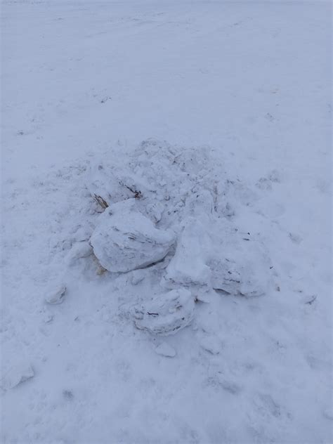 Image result for Tank Drawing Tutorial