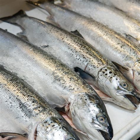 gallery – Blue Harbour London