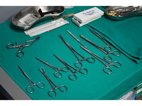 AMBULANTA VETHOME | Veterinarske ordinacije, veterinari | Susedgradska ...