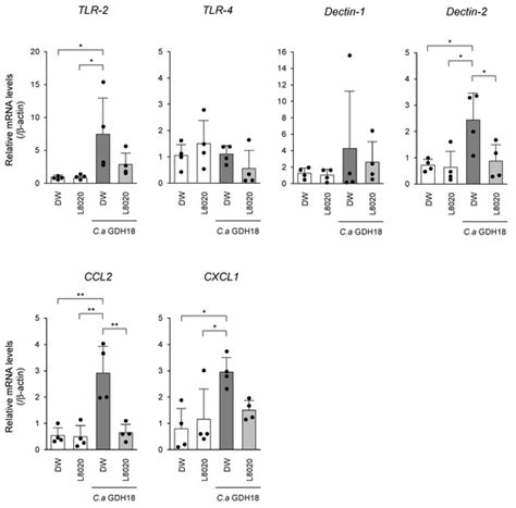 In Vivo Efficacy of Lacticaseibacillus rhamnosus L8020 in a Mouse Model ...