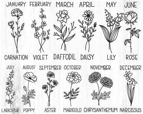 Buy Birth Month Flower Svg, Digital Download, Flower Bouquet Frame Svg ...
