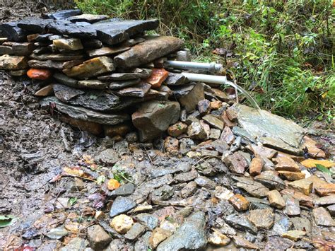 Image result for Spring Water Collection