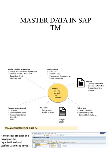 Image result for SAP Master Data and Transaction