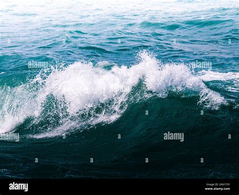 Paradise Beach Waves at Annalisa Hanley blog