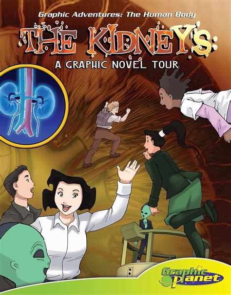 Kidney:a Graphic Novel Tour: A Graphic Novel Tour (Graphic Adventures ...