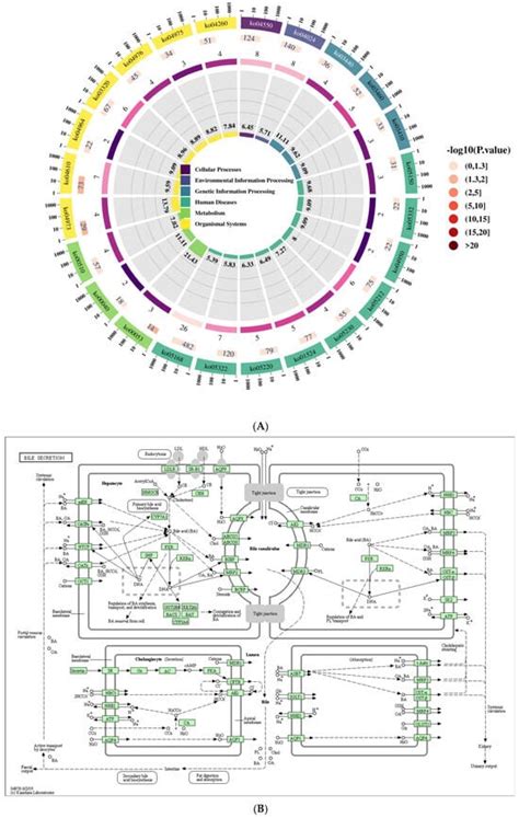 Veterinary Sciences | Special Issue : Diagnosis, Epidemiology, and ...