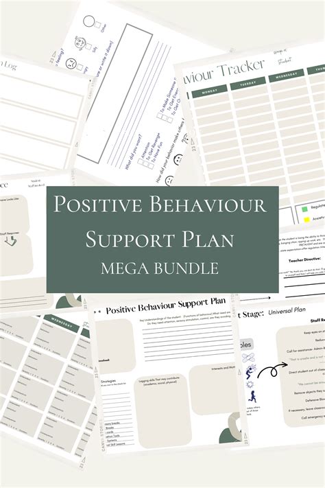 Image result for Positive Behavior Support Plan Forms