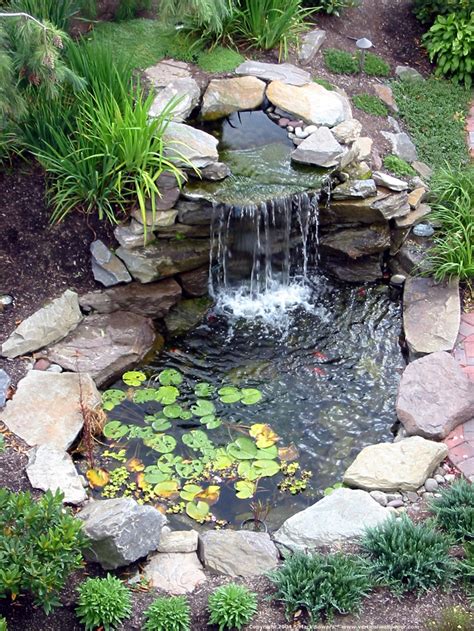 Pond Design Ideas 的图像结果