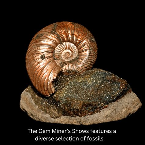 2026 Calendar of Gem, Mineral, Fossil and Jewelry Shows in New Jersey