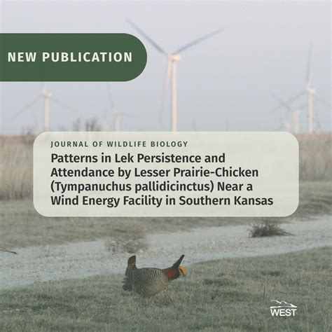 Home - Western EcoSystems Technology, Inc.