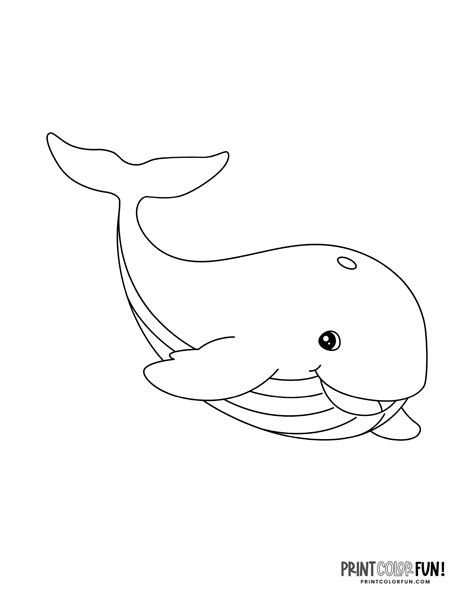 Whale Coloring Pages