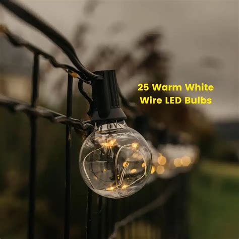 Image result for 10 Bulb LED String Lights