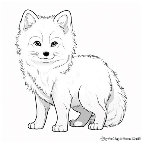 Arctic Fox Coloring Page