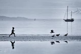 惊起一滩鸥鹭 | @ Whiterock, Vancouver | Jianwei Yang | Flickr