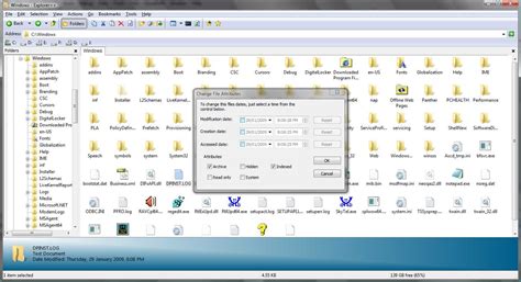 File Explorer 00 的图像结果