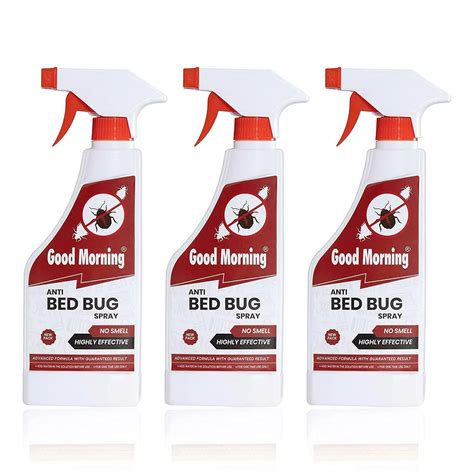 Strongest Bed Bug Killer at Kate Terry blog