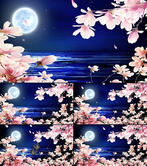 日本樱花花瓣动漫图片 - 366亿图