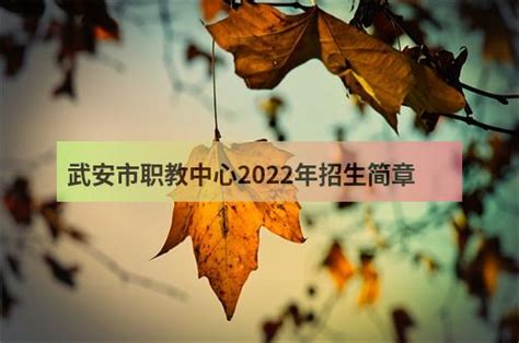 武汉招考网查分：2020年湖北武汉中考成绩查询入口【已开通】