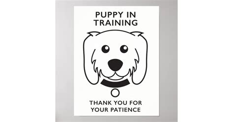 In Training Sign 的图像结果