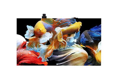 Image result for LG LED Signage