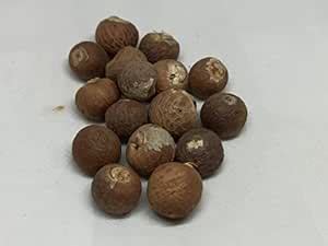 NATURALIFE'S-*KOTTA PAAKU FULL*-Betel Nut I Supari I கொட்ட பாக்கு-(50 ...