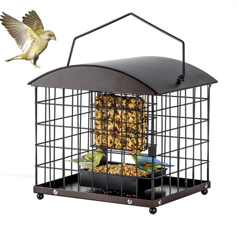 Caged Suet Feeders Squirrel-Proof, Dual-Purpose Suet &Seed Wild Bird ...