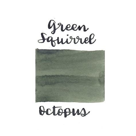 Octopus Write & Draw Ink Bottle, Green Squirrel - 50ml – Makoba