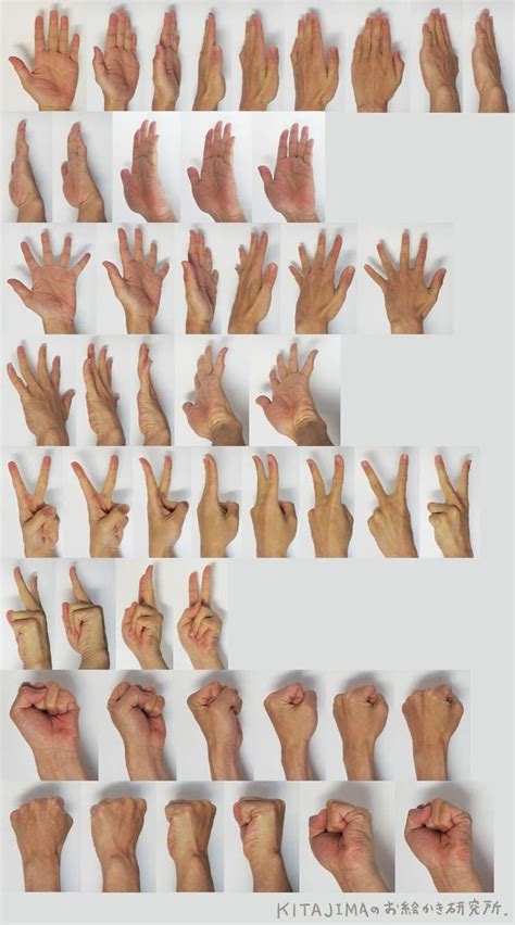 Image result for Hand Reference