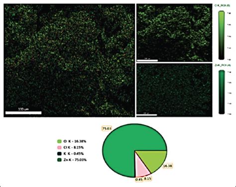 In vitro antioxidant and acetylcholinesterase activities of catechin ...