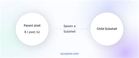Image result for Subshell Definition