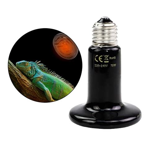 220V Infrared Terrarium Heat Lamp Ceramic Heater F... – Vicedeal