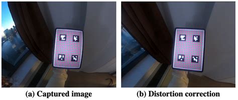 Image result for GoPro Distortion