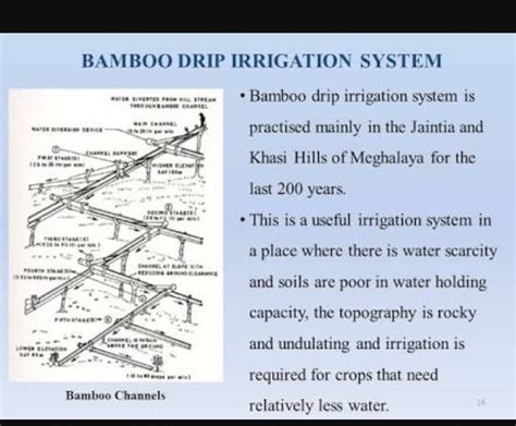 I NEED MORE POINTS ABOUT BAMBOO DRIP IRRIGATION SYSTEM - Brainly.in