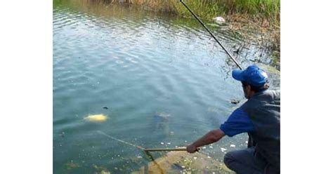 Feeder tehnika - lov krupne ribe