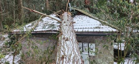 January 2024 ice storm at The Grotto - oregonlive.com