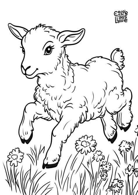 Spring Animal Coloring Pages (Free Printable)