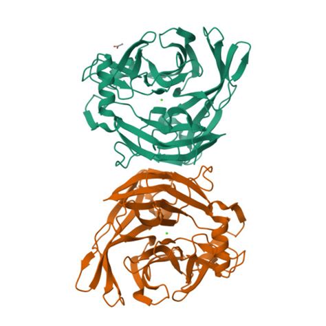 Ca2n Structure 的图像结果