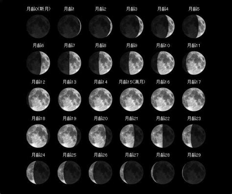 月齢と月の名前一覧表。満ち欠けで変わる呼び名とは | 月齢, カワイイタトゥー, 月