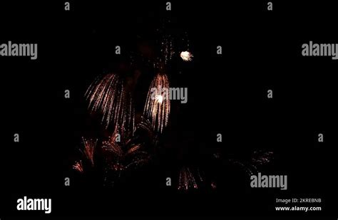 Firework Explosion Fire 的图像结果