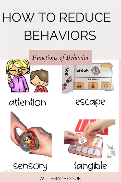 Image result for 4 Functions of Behavior