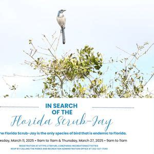 Birding with Parks - In Search of the Florida Scrub-Jay, Trail 13 ...